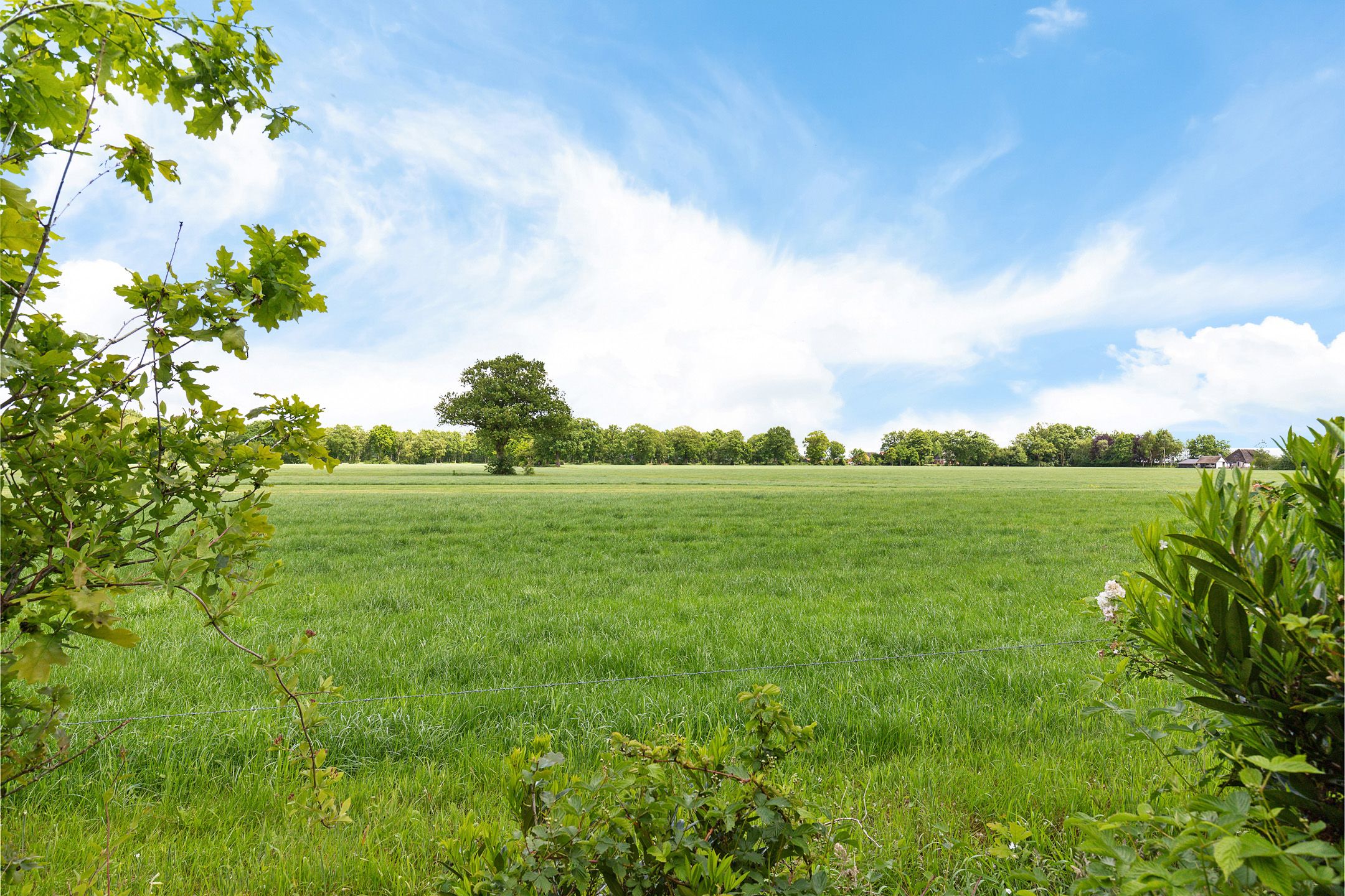 Foto 9 van Sint Magnuswei 3