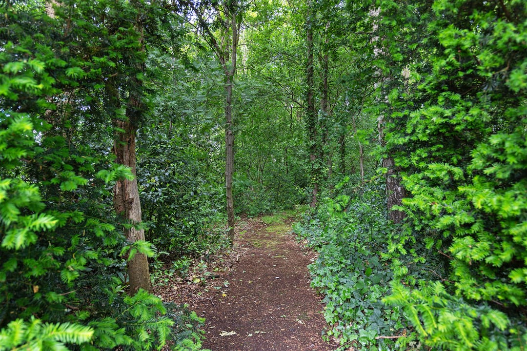 Foto 47 van Sint Magnuswei 3