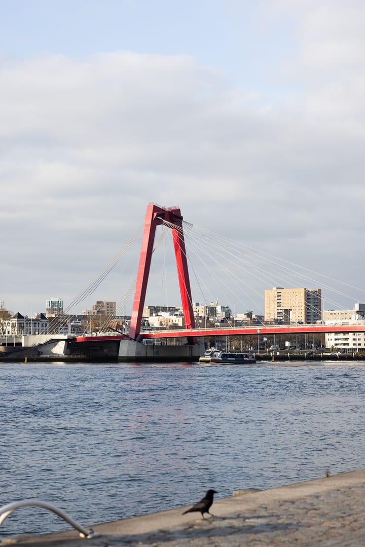 Photo 49 of Maaskade 106