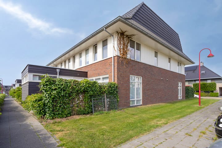 undefined main image
