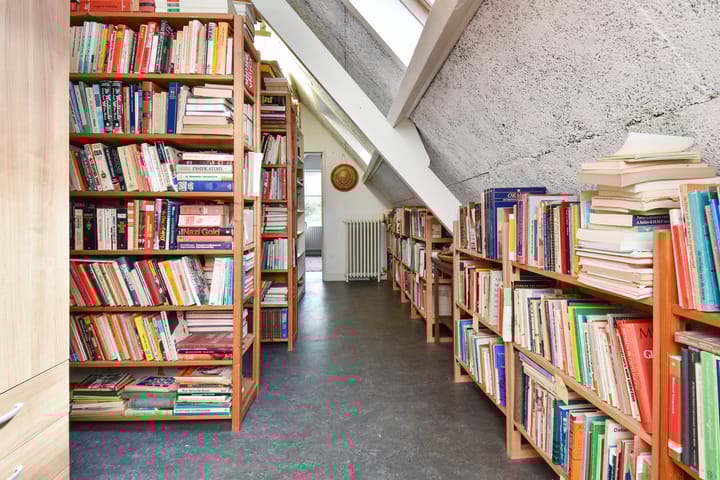 Photo 19 of Anna Paulownastraat 35