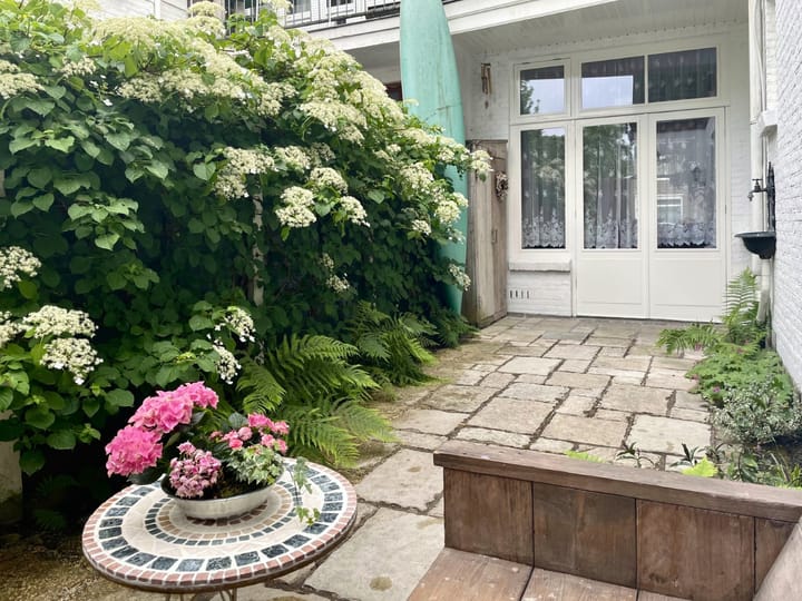 Foto 4 van Westeinde 85