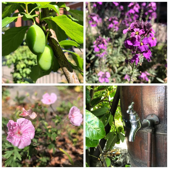 Foto 35 van Westeinde 85