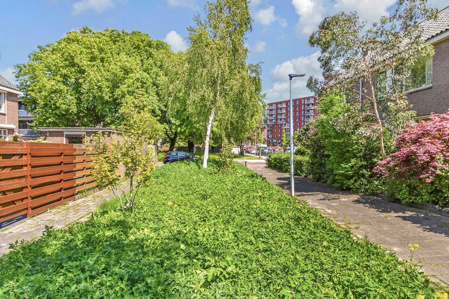 Foto 55 van Vogellaan 30