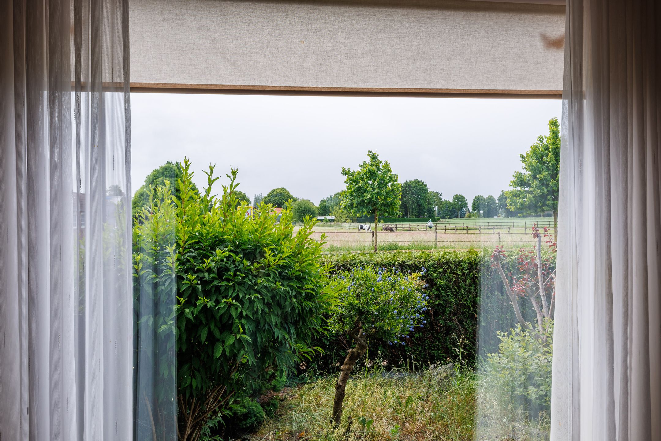 Foto 9 van Gochsedijk 17