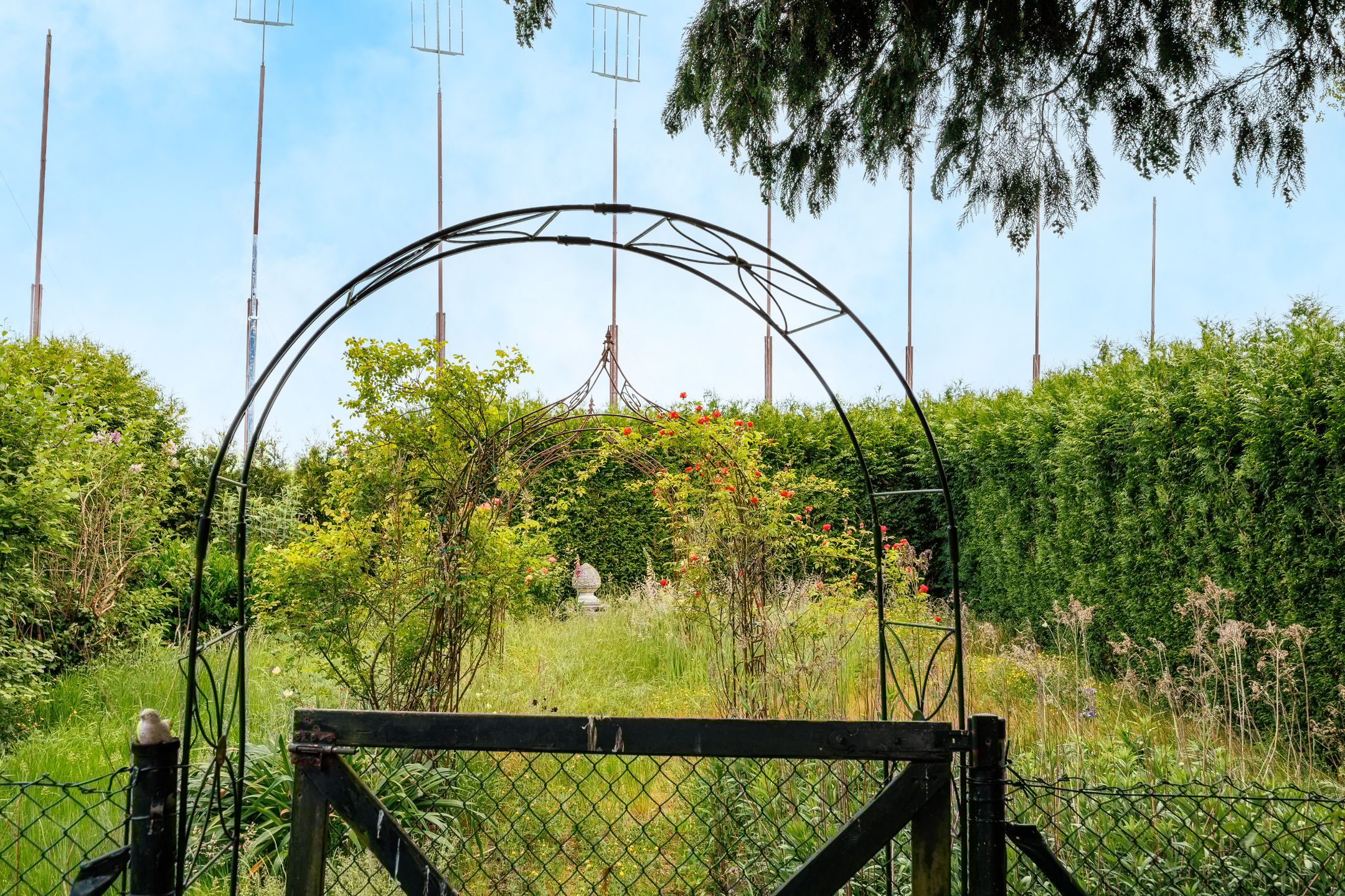 Foto 33 van Gochsedijk 17