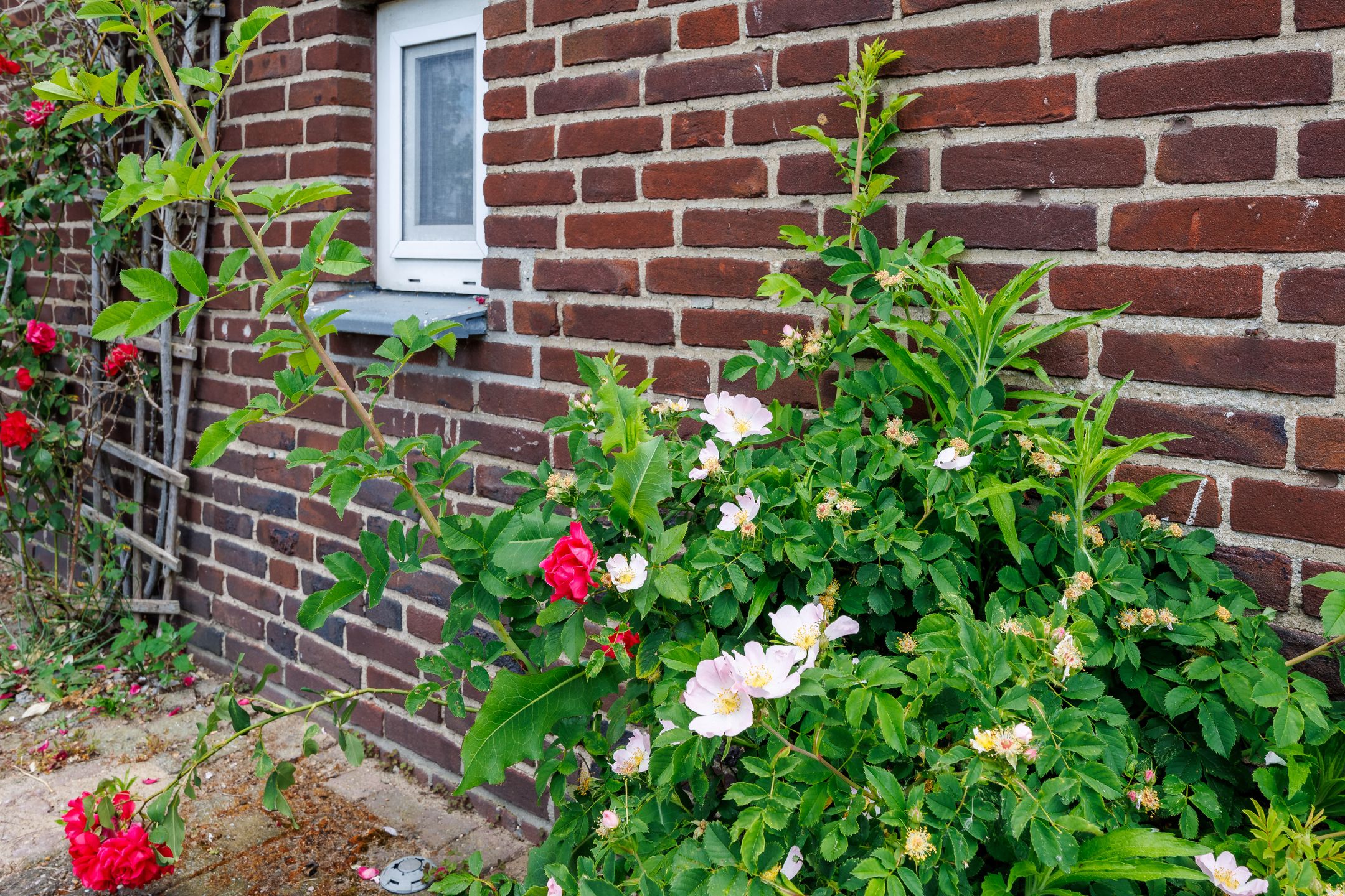 Foto 39 van Gochsedijk 17