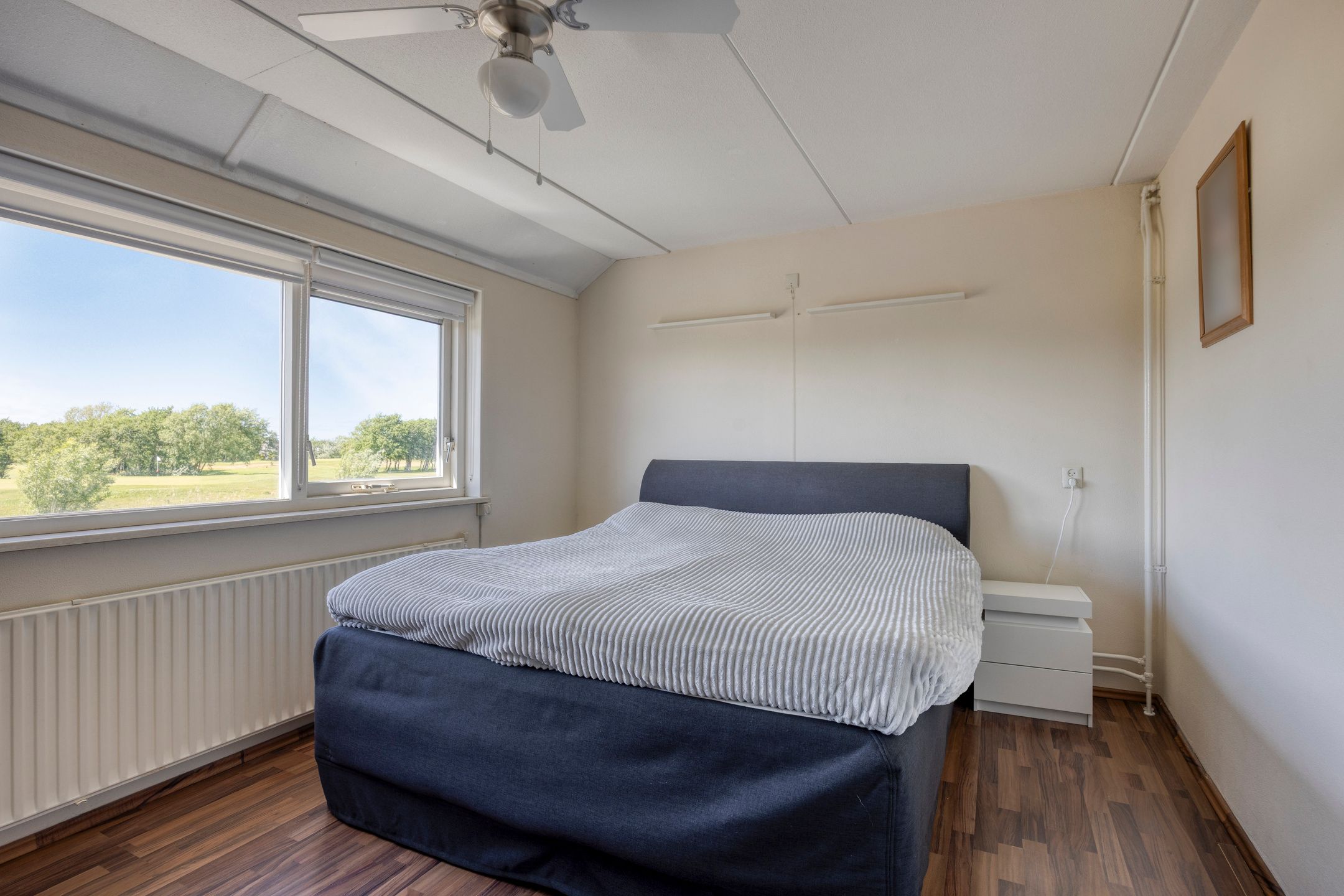 Foto 6 van Wierbalg 2522