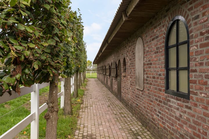 Photo 40 of Scheidingsweg 6