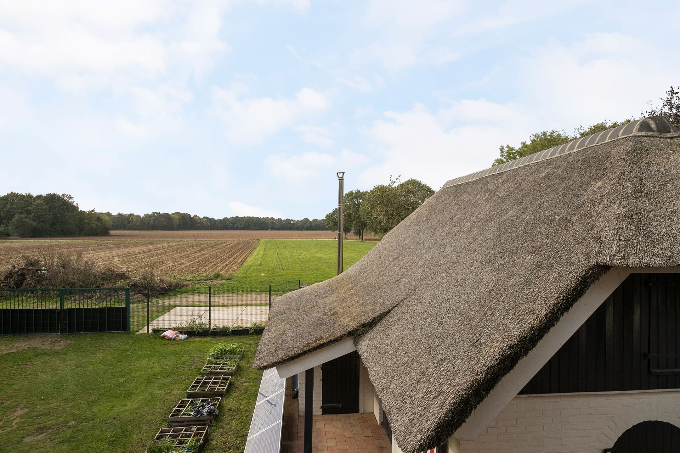 Foto 42 van Scheidingsweg 6