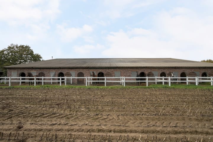 Photo 43 of Scheidingsweg 6