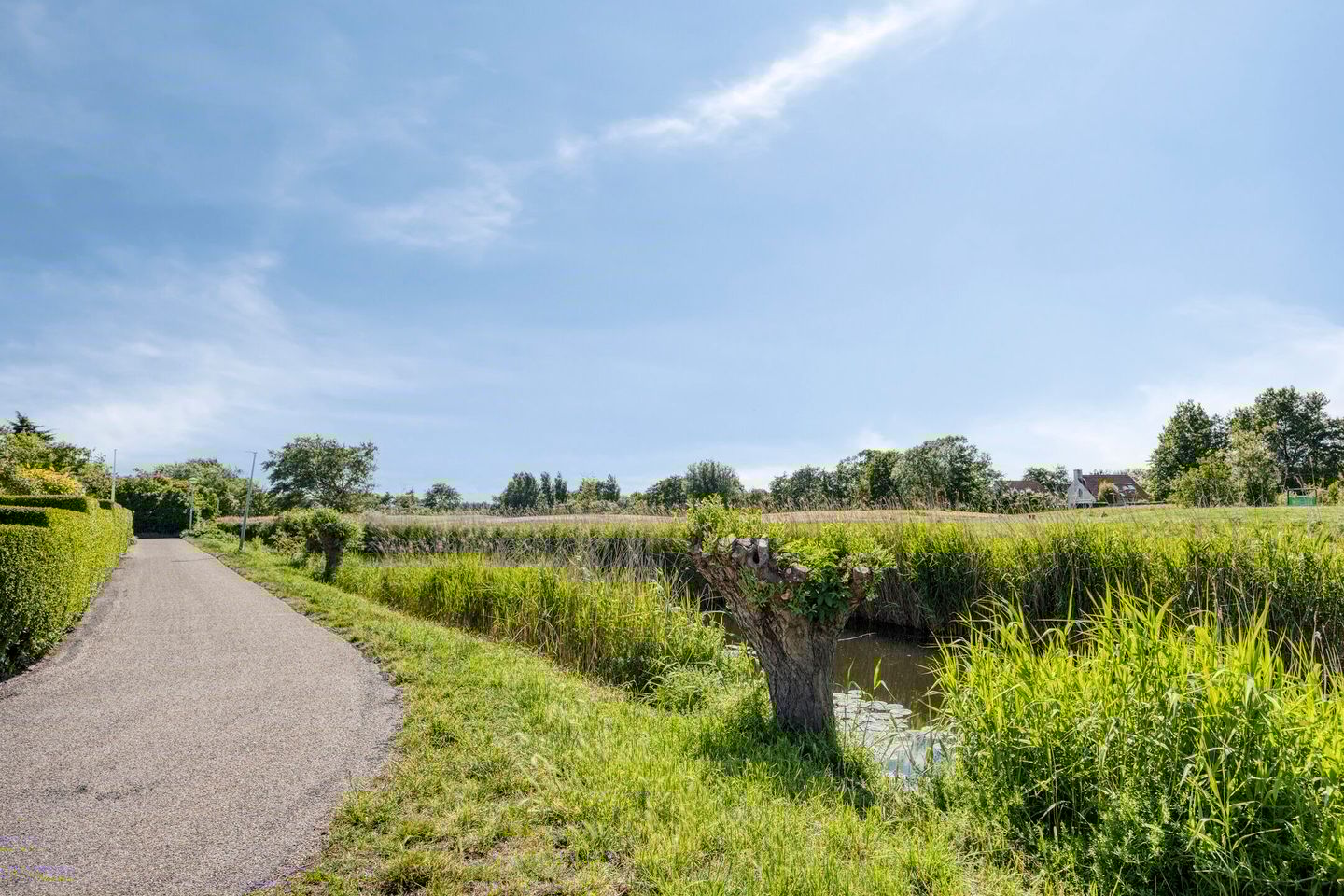 Foto 29 van Wierbalg 2522