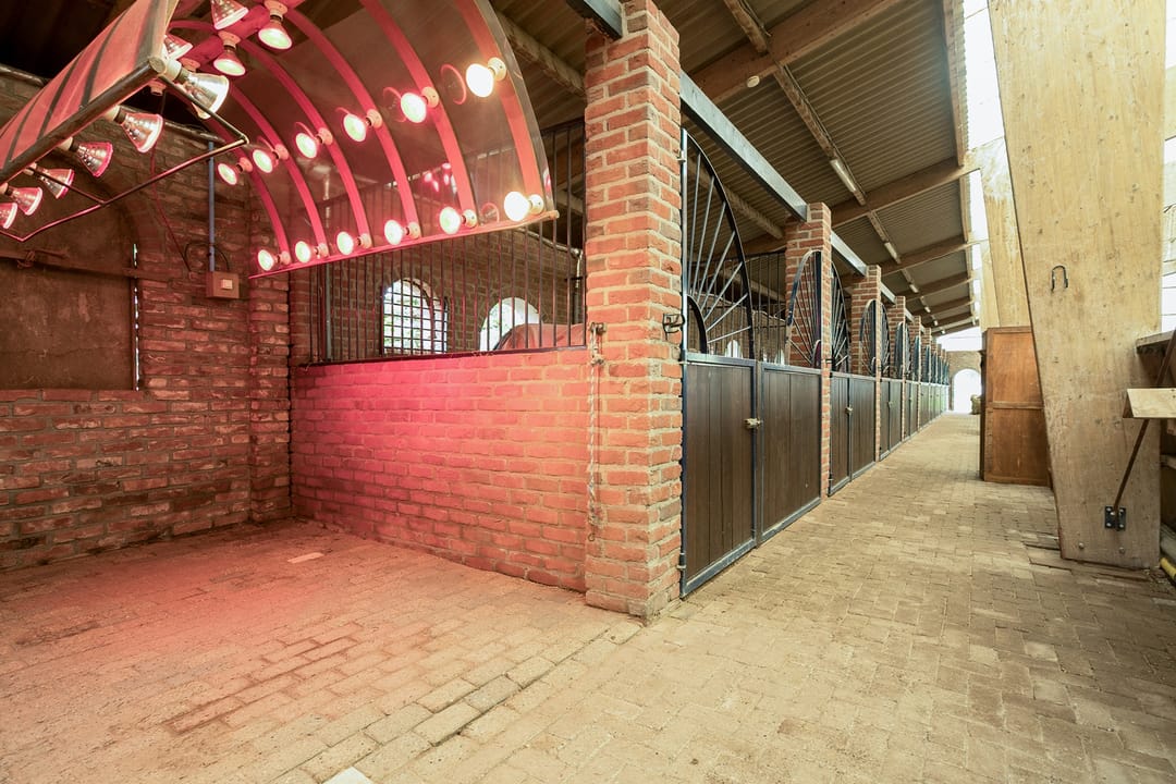 Foto 47 van Scheidingsweg 6