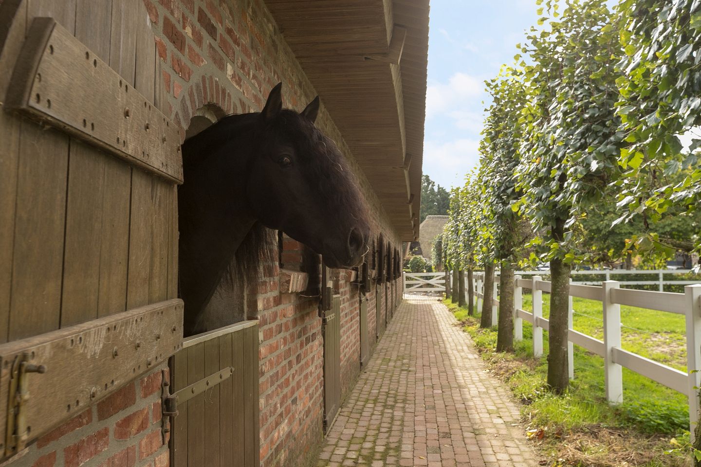 Foto 49 van Scheidingsweg 6