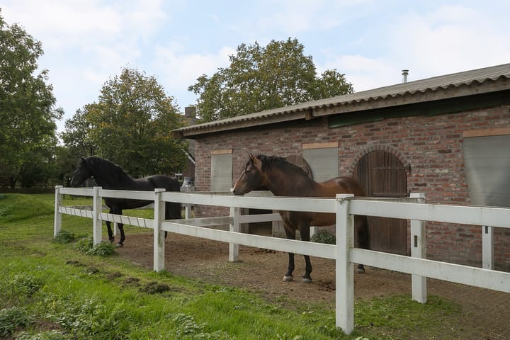 Photo 53 of Scheidingsweg 6