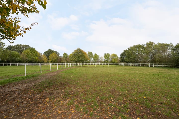 Photo 54 of Scheidingsweg 6