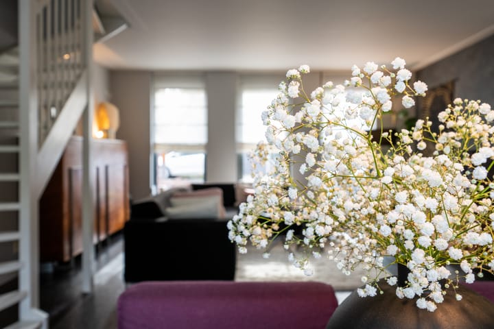 Foto 10 van Rabarberveld 15