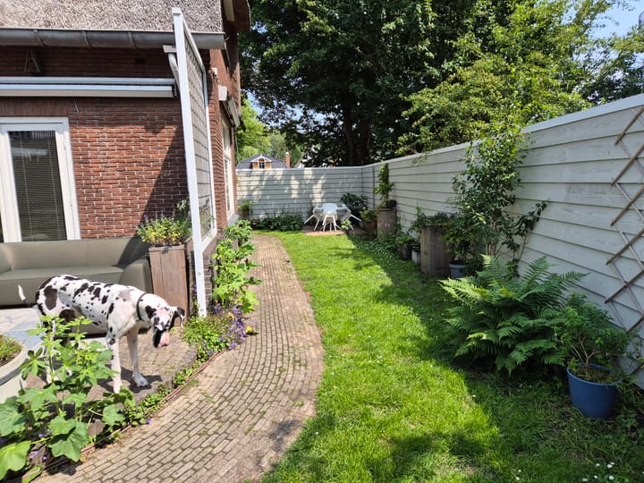 Foto 38 van Purmerenderweg 209