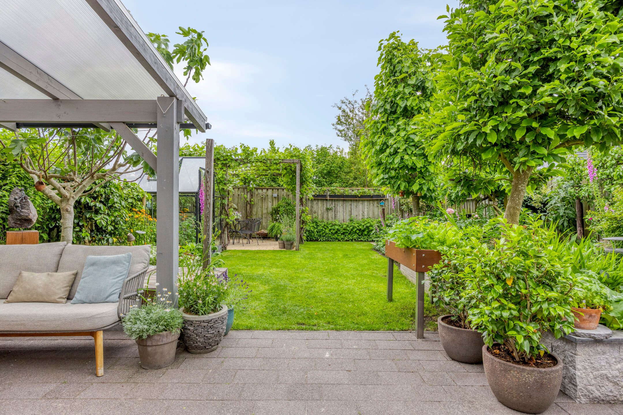 Foto 3 van Havikskruid 76