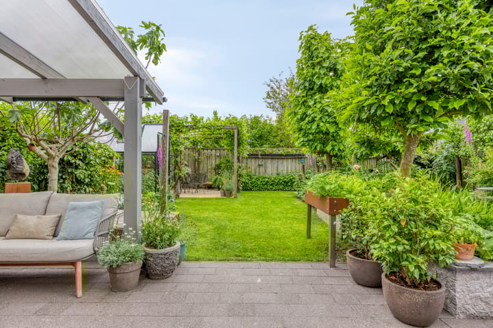 Foto 3 van Havikskruid 76