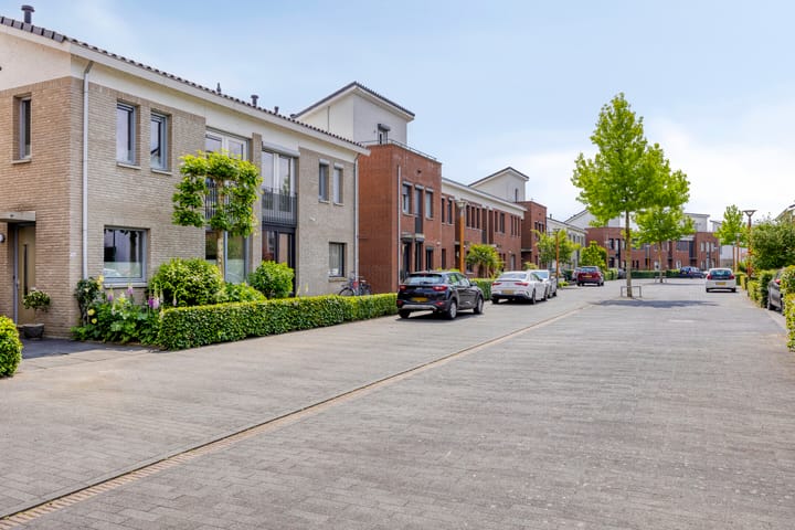 Foto 5 van Havikskruid 76