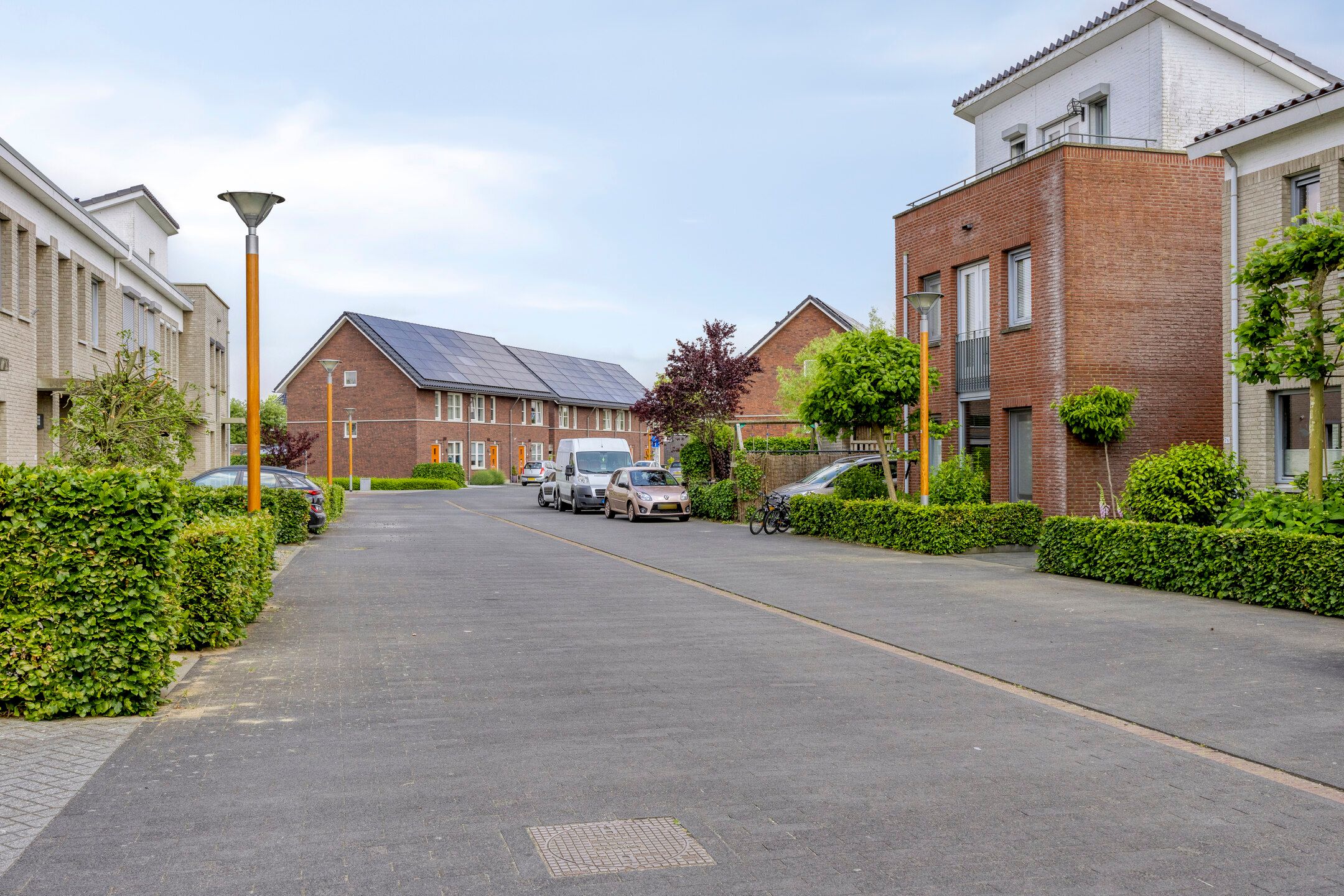 Foto 6 van Havikskruid 76