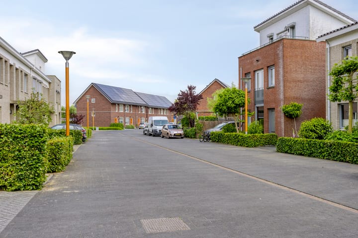 Foto 6 van Havikskruid 76