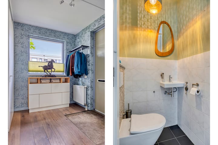 Foto 7 van Havikskruid 76