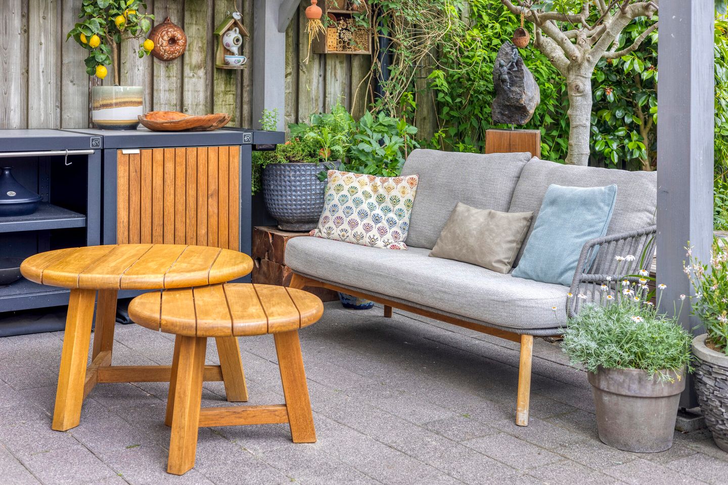 Foto 34 van Havikskruid 76