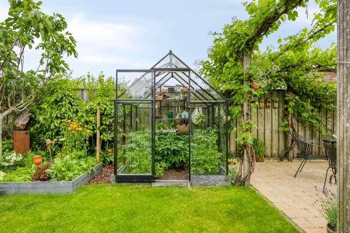 Foto 36 van Havikskruid 76