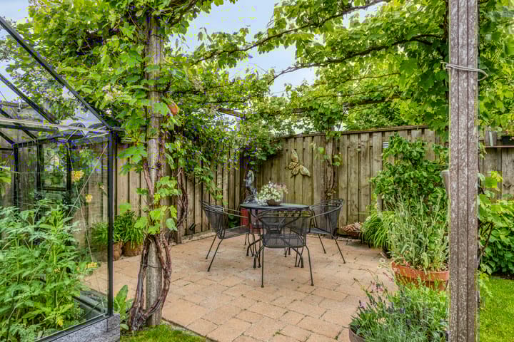 Foto 37 van Havikskruid 76