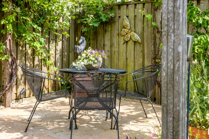 Foto 38 van Havikskruid 76