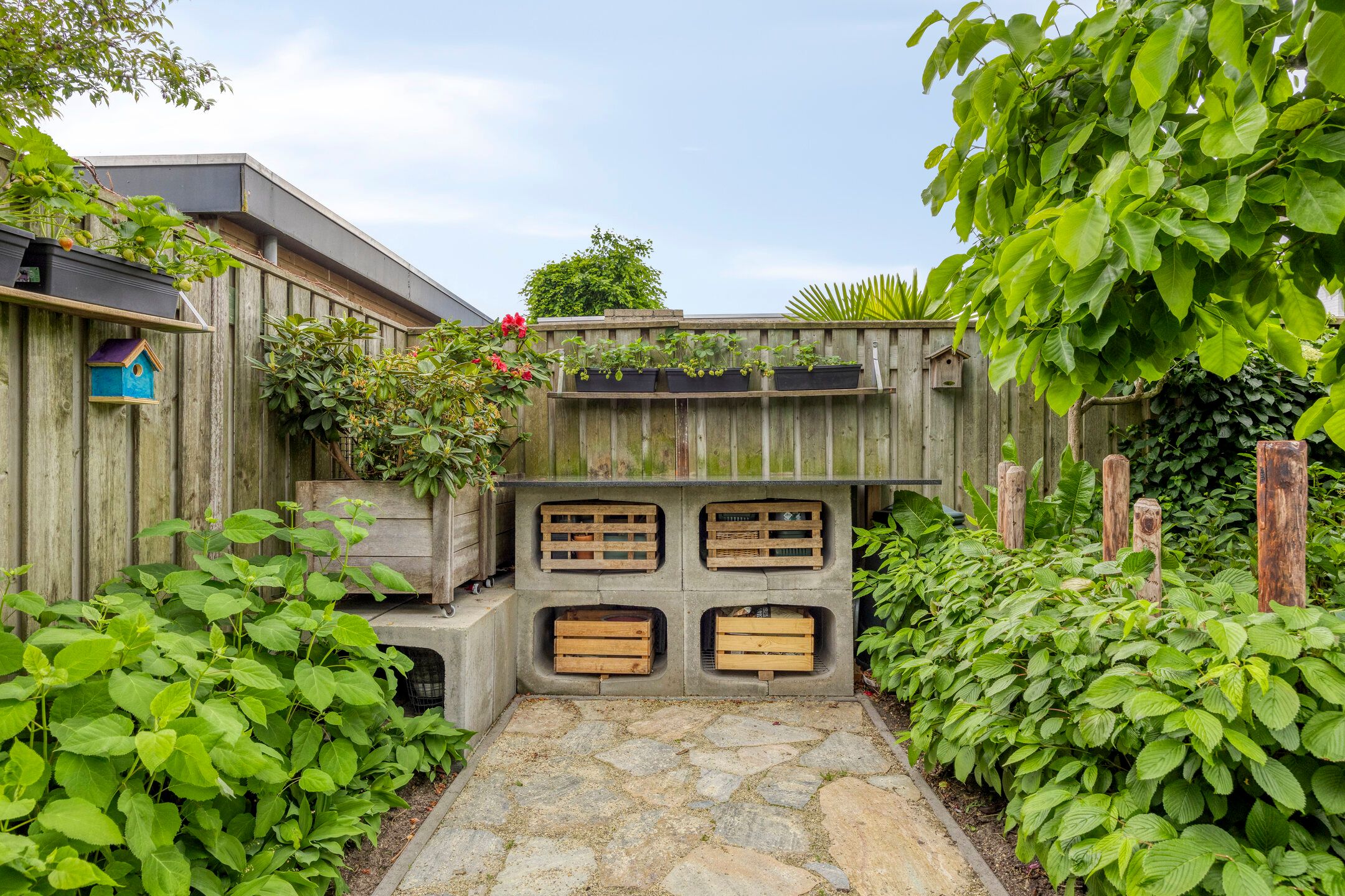 Foto 39 van Havikskruid 76