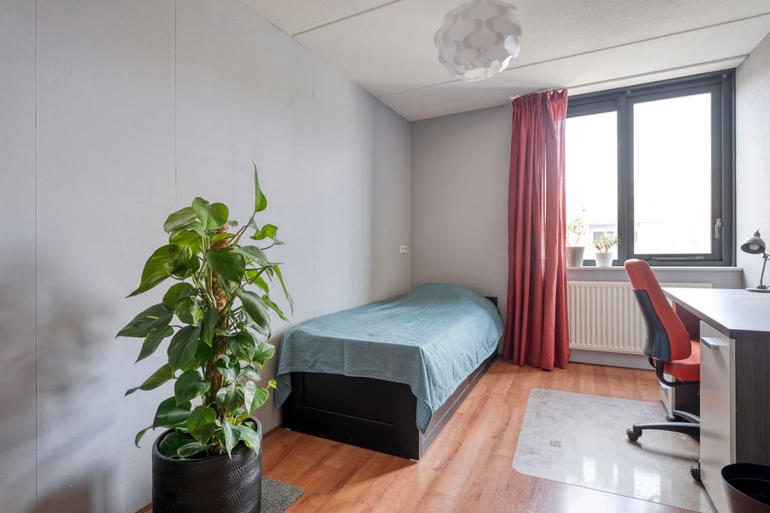 Foto 17 van Haakmos 17