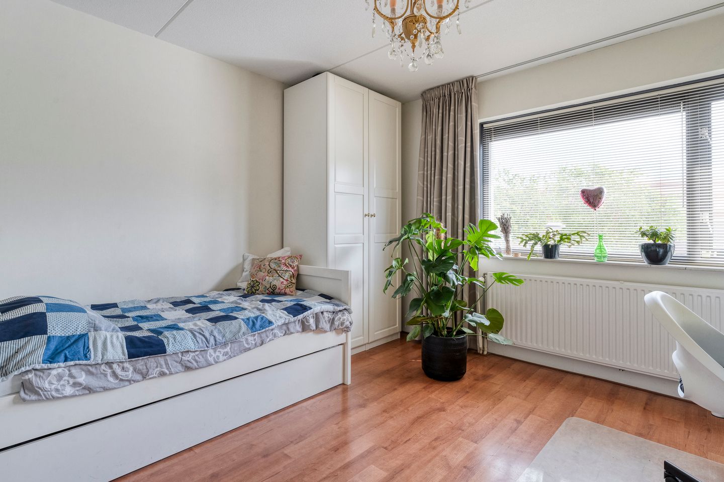 Foto 19 van Haakmos 17