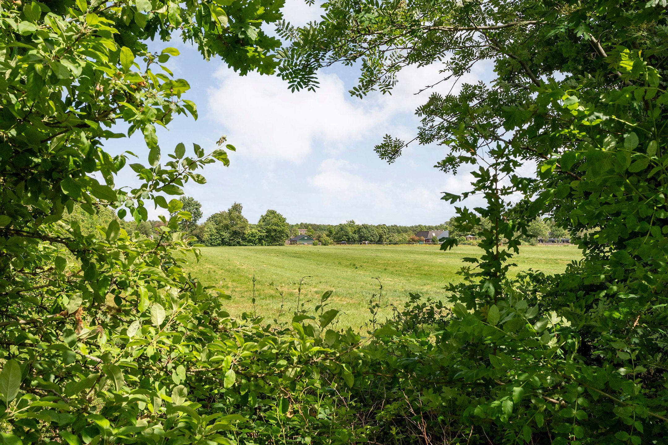 Photo 69 of Ir. C.A. Kloosterhuisstraat 49-C