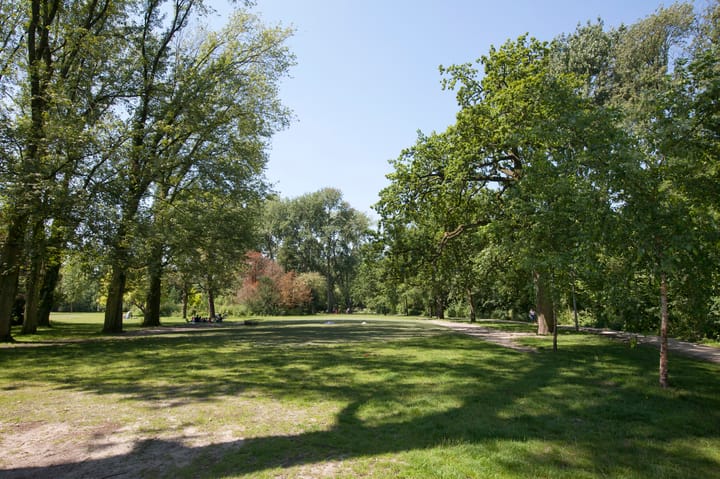 Foto 37 van Overtoom 433-2