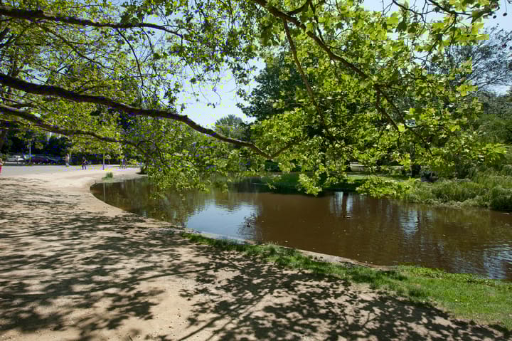 Foto 38 van Overtoom 433-2