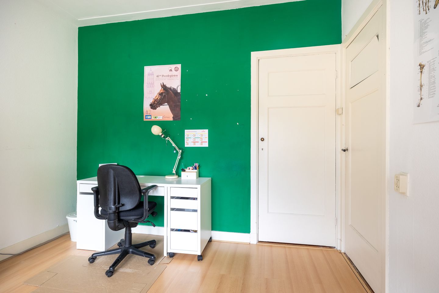 Foto 50 van Homeruslaan 55