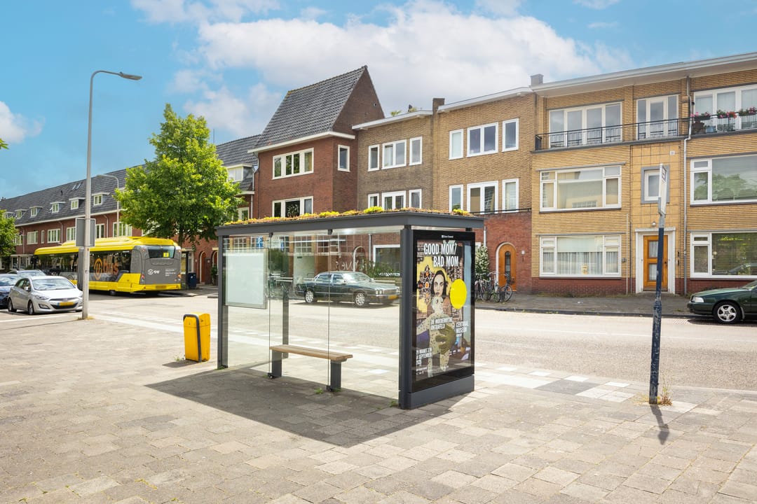 Foto 62 van Homeruslaan 55