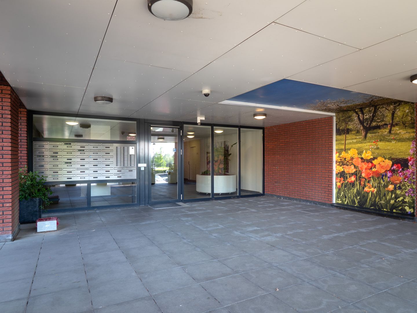 Foto 20 van Oasisstraat 37