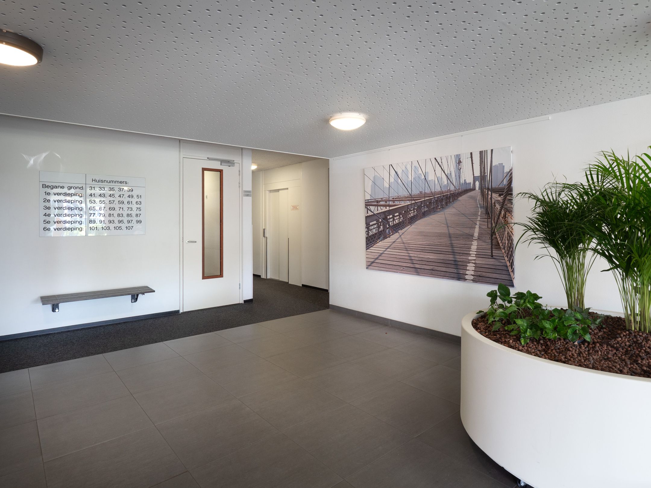 Foto 21 van Oasisstraat 37