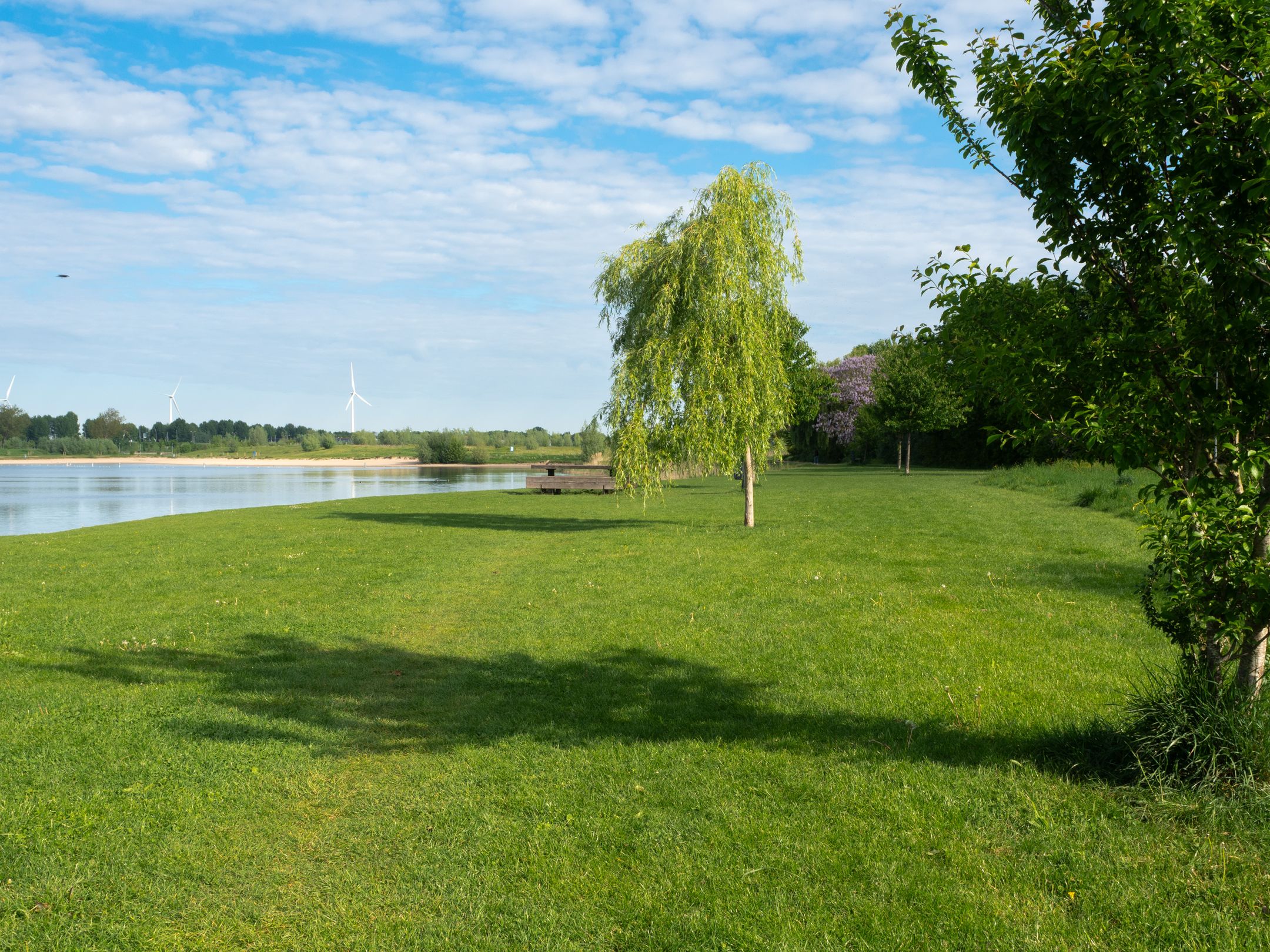 Foto 24 van Oasisstraat 37