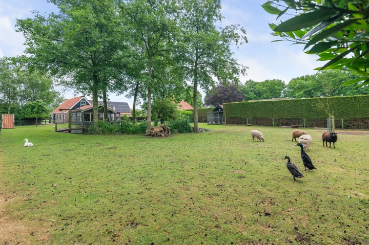 Foto 33 van Eerste Compagnonsweg 27