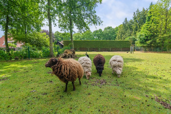 Foto 34 van Eerste Compagnonsweg 27