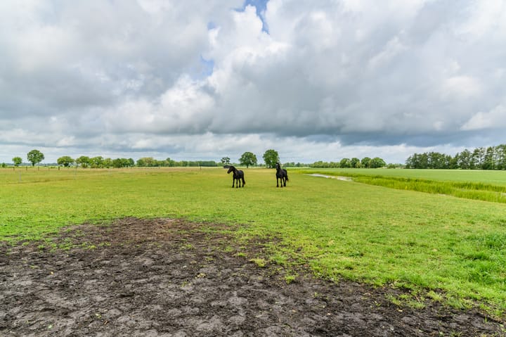 Foto 43 van Eerste Compagnonsweg 27