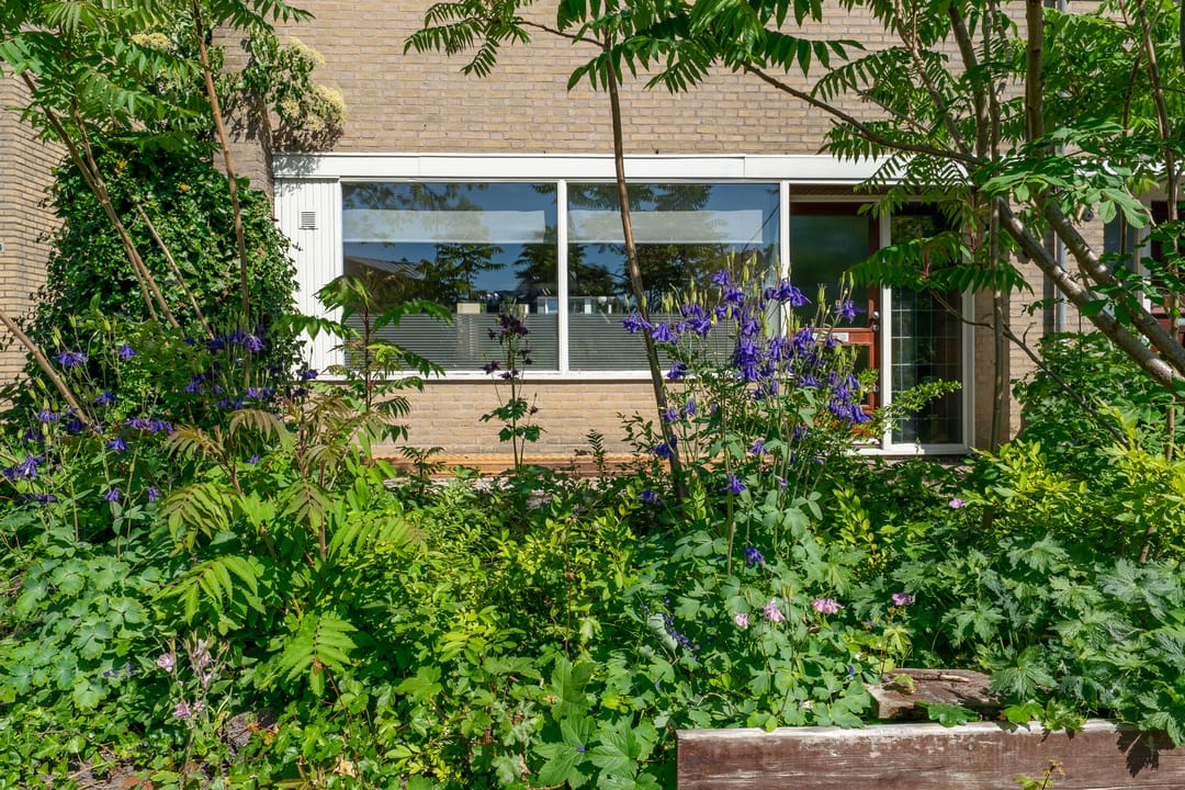 Foto 31 van C. van Everdingenlaan 18