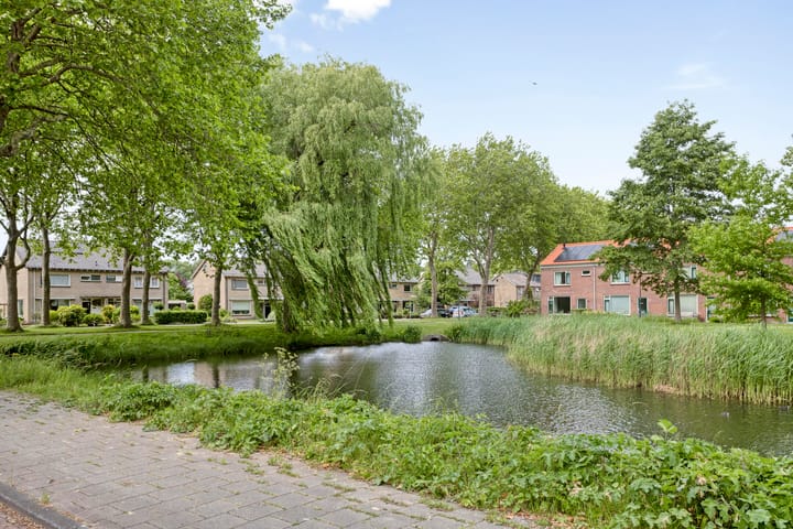 Foto 49 van Frans Halsstraat 14