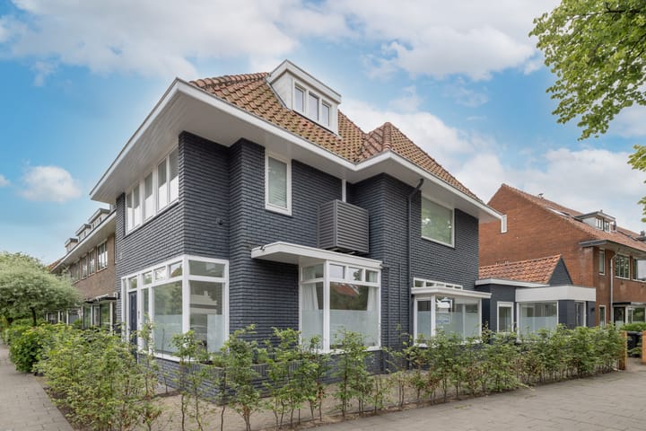 Foto 29 van Bodemanstraat 53