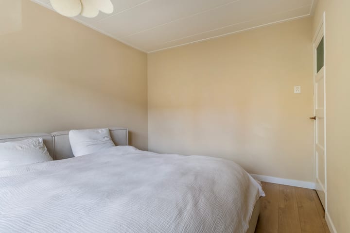 Foto 31 van Frederik Ruyschstraat 20